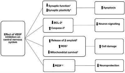 Intravitreal Anti-VEGF Drugs and Signals of Dementia and Parkinson-Like Events: Analysis of the VigiBase Database of Spontaneous Reports